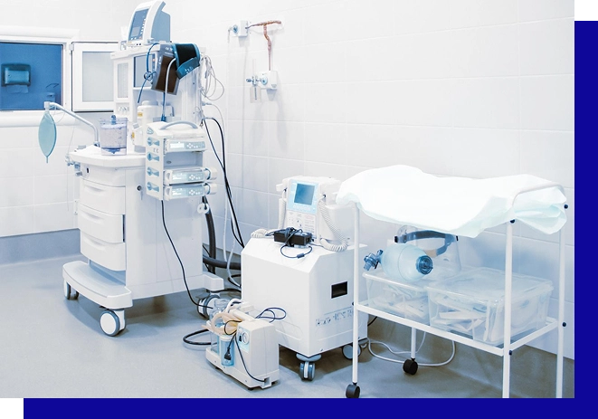 Expert Moving Services